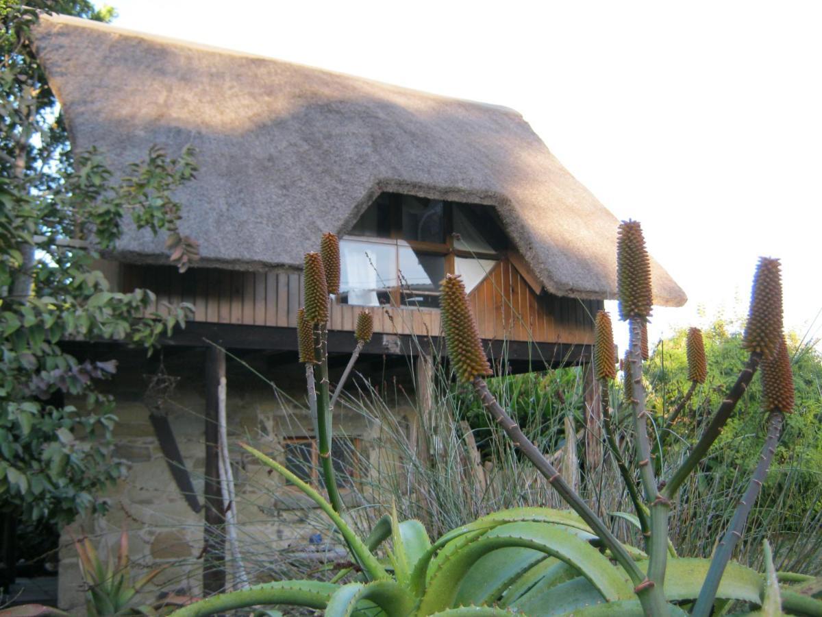 Driftwood Treehouse Hotell Sunrise-on-Sea Exteriör bild