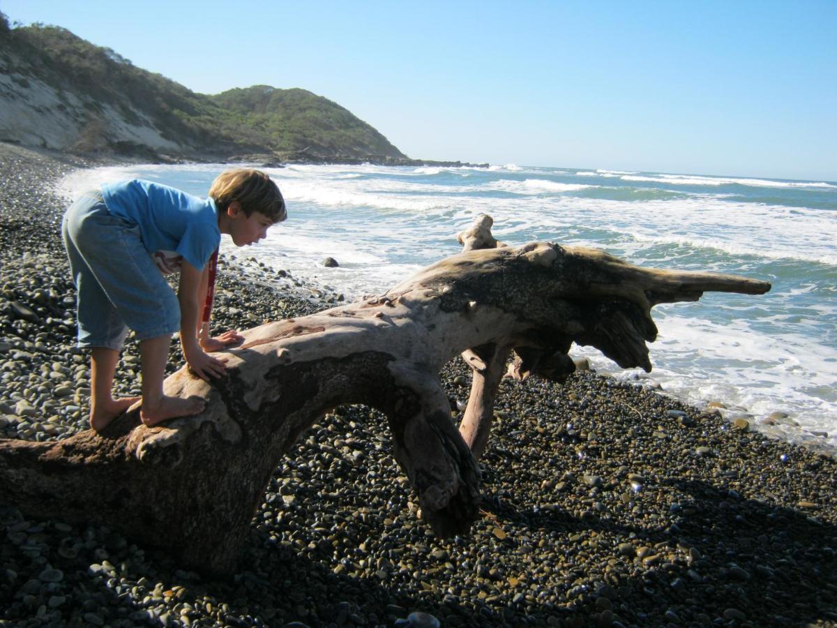 Driftwood Treehouse Hotell Sunrise-on-Sea Exteriör bild